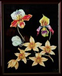 рисунок с орхидеями и бабочкой
