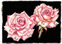 рисунок с розовыми розами