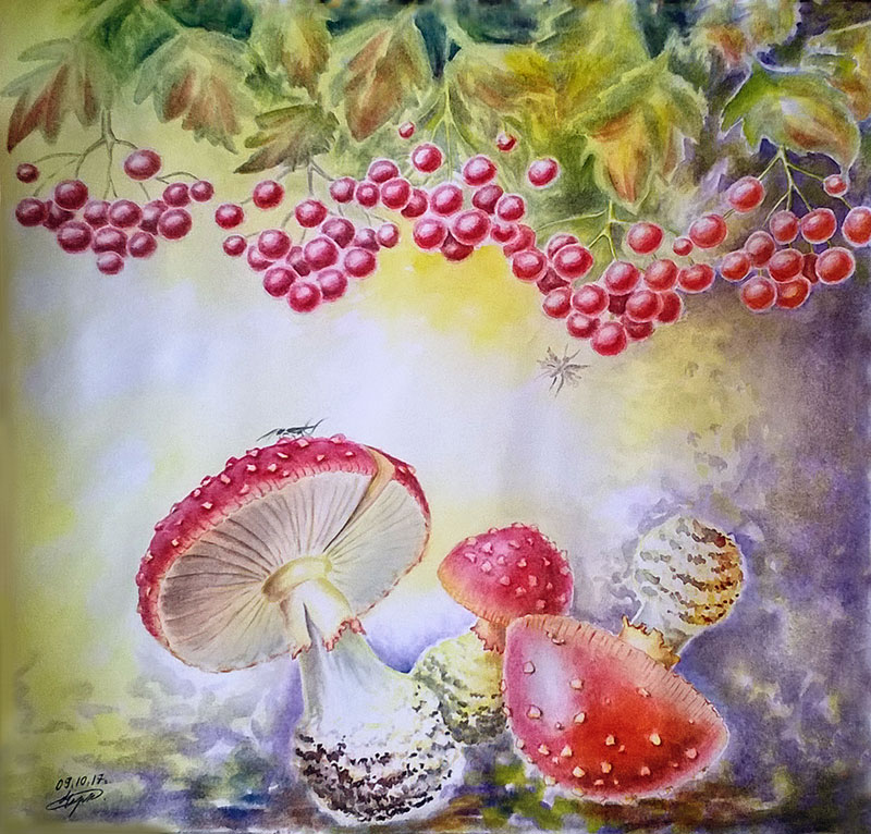 Мухоморы и калина