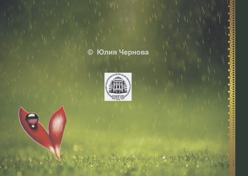 обложка, портфолио, оригинал-макет издания заказать