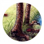 демонстрация фактуры и объема стволов деревьев