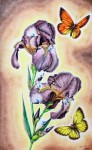 рисунок с ирисами и бабочками
