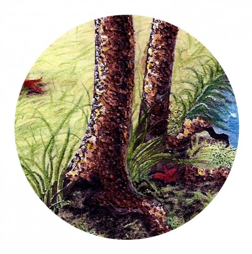 демонстрация фактуры и объема стволов деревьев