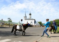 Упрямый пони