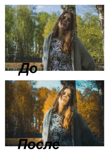 модное тонирование фото заказать