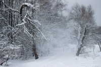 Зимний пейзаж с вьюгой