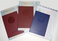 Три моих диплома