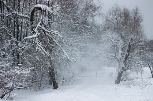 Зимний пейзаж с вьюгой