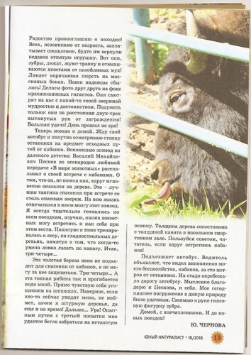 Страница из статьи Черновой Юлии о зубрах