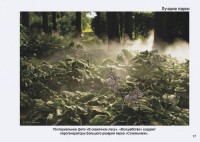 Стр.17 фотоальбома Твоя Россия