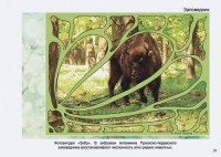 Стр.27 фотоальбома Твоя Россия